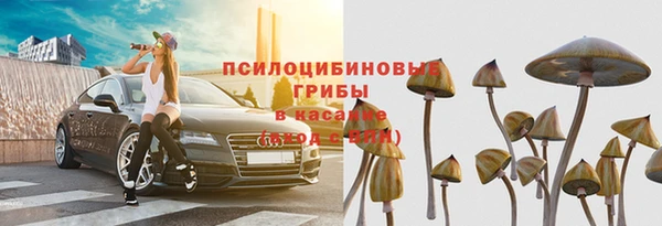 трава Кинешма