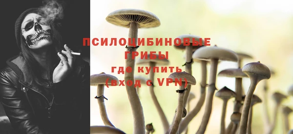 соль ск Карталы