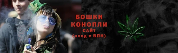 spice Касимов