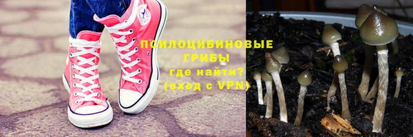 spice Касимов