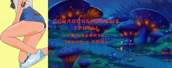 spice Касимов